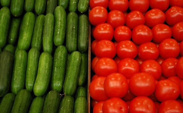 optovye-postavki-ovoshhei-i-fruktov-iz-irana-big-1