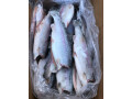 priamoi-postavshhik-moreproduktov-iz-irana-optom-small-2