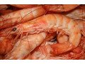 priamoi-postavshhik-moreproduktov-iz-irana-optom-small-1