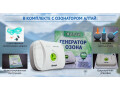 bytovoi-ocistitel-vozduxa-ozonator-altai-small-0
